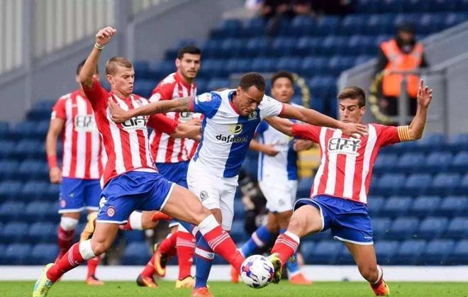 凯利能在季 凯利能在季